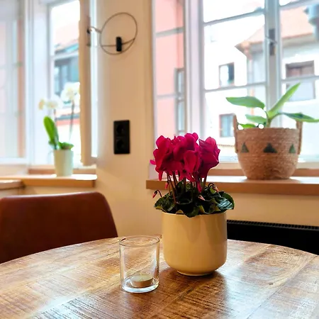Apartamento Old Town Living
